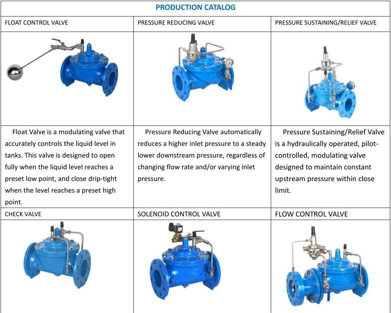 Leading Manufacturer of Industrial for Cast Iron Rubber Flap Check Valve