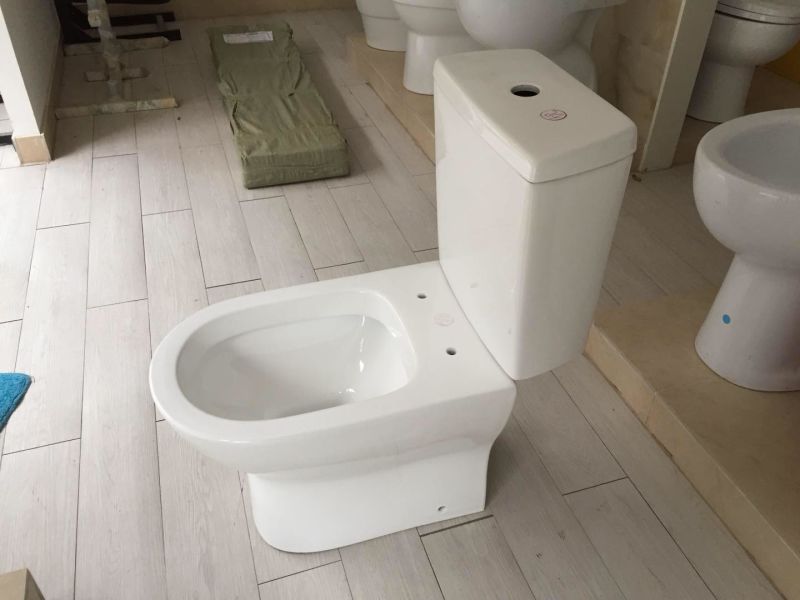 891 Washdown Two Piece Toilet with S Trap 250mm or P Trap 180mm