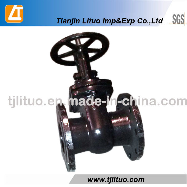 Spring Ductile Iron Cast Iron Good Quality Check Valve