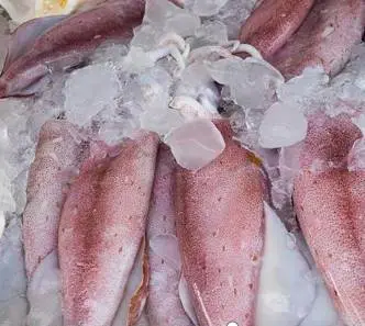 Frozen Squid Dumplings, Halal Dumplings