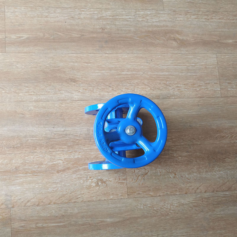 China Manufacturer En Standard Ce ISO Ggg50 Ductile Iron Soft Seat Flange Hand Wheel Manual 6 Inch Water Gate Valve