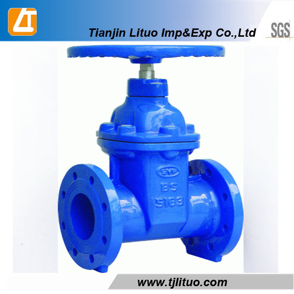 Spring Ductile Iron Cast Iron Good Quality Check Valve