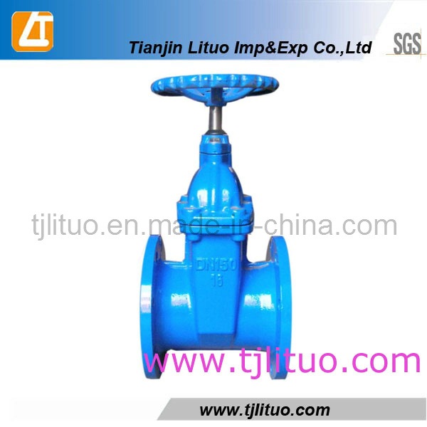 Spring Ductile Iron Cast Iron Good Quality Check Valve