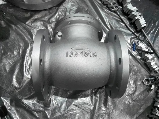 Cast Iron Flanged End 250lb Swing Check Valve