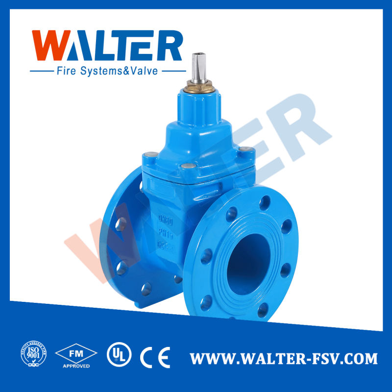 Pn10 Pn16 Hand Wheel Resilient Seated Cast Iron Flanged Gate Valve