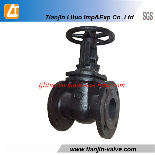 Spring Ductile Iron Cast Iron Good Quality Check Valve