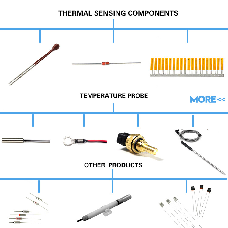 Customized Water Sensor Probe PT100 Platinum Resistance Probe