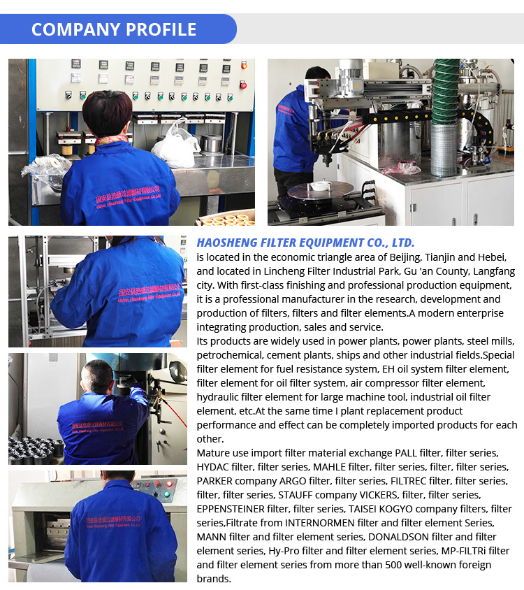 Competitive Price Hydraulic Oil Filter Element, Hydraulic Oil Spin on Suction Filter, Industrial Hydraulic Oil Filter OEM