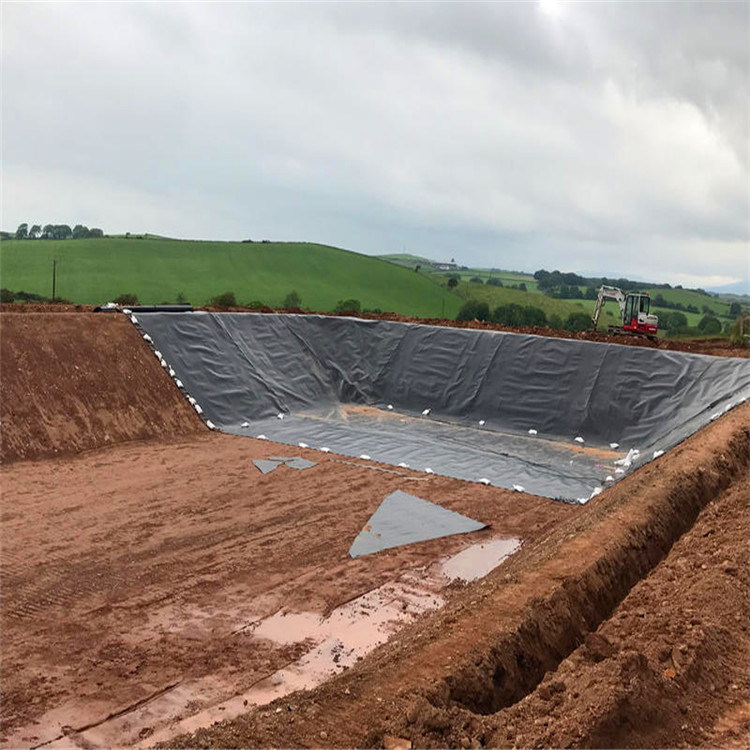 CE ISO Waterproof Reservoir Liner Geomembrane for Reservoir