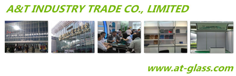 Reflective Glass/Coated Glass/Tinted Glass/ Used for Building/Insulated Glass