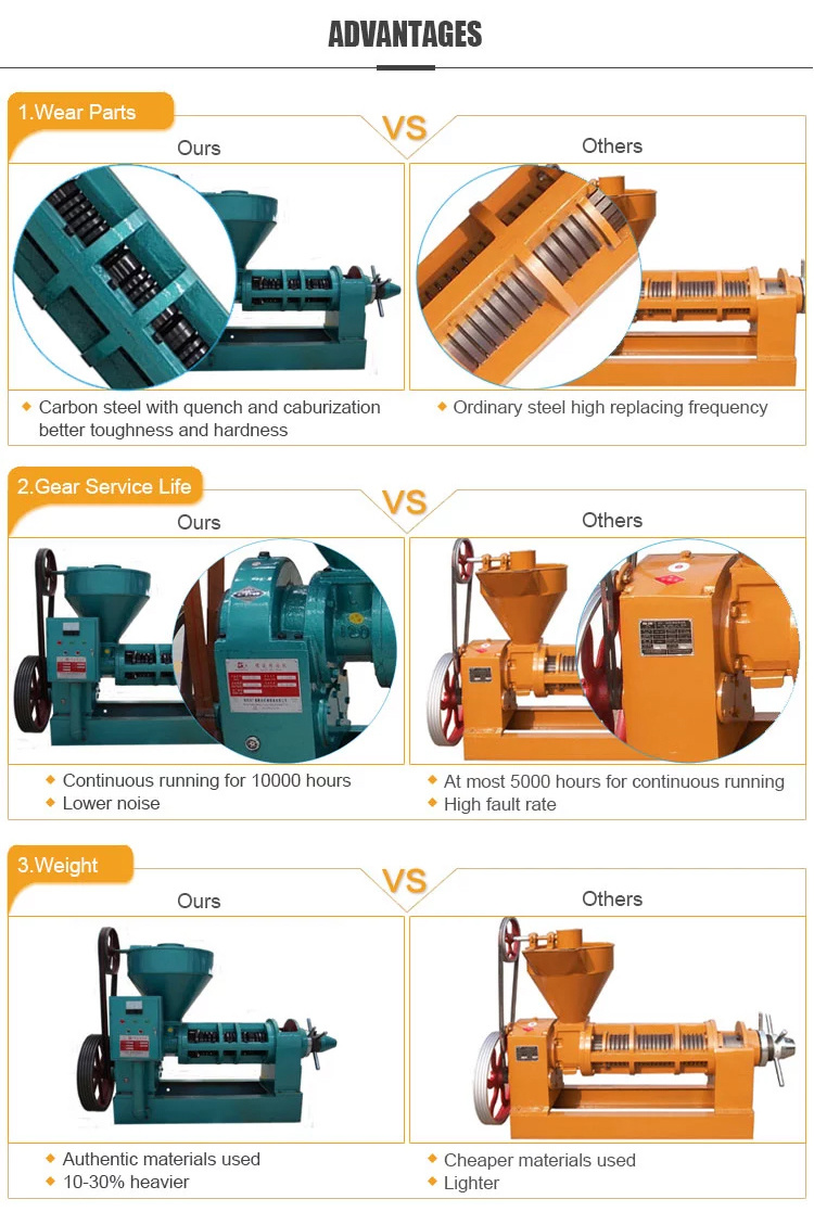 Economical Oil Press Cold Oil Press Machine Cooking Oil Making Machine