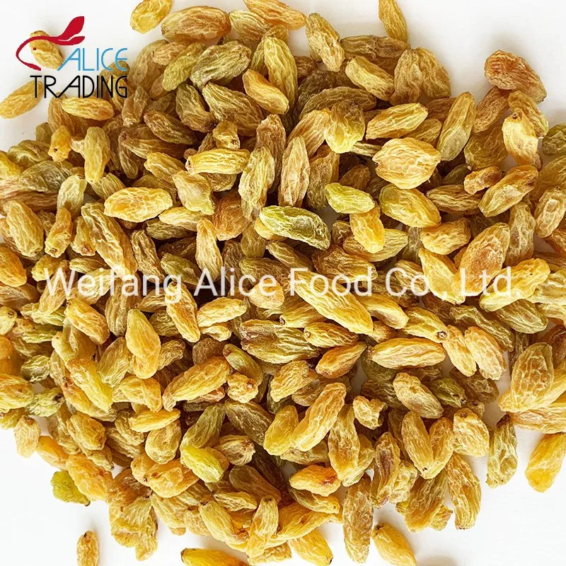 Bulk Packing China Wholesale Cheap Price Xinjiang Turpan Raisin Bulk Packing Dried Raisin