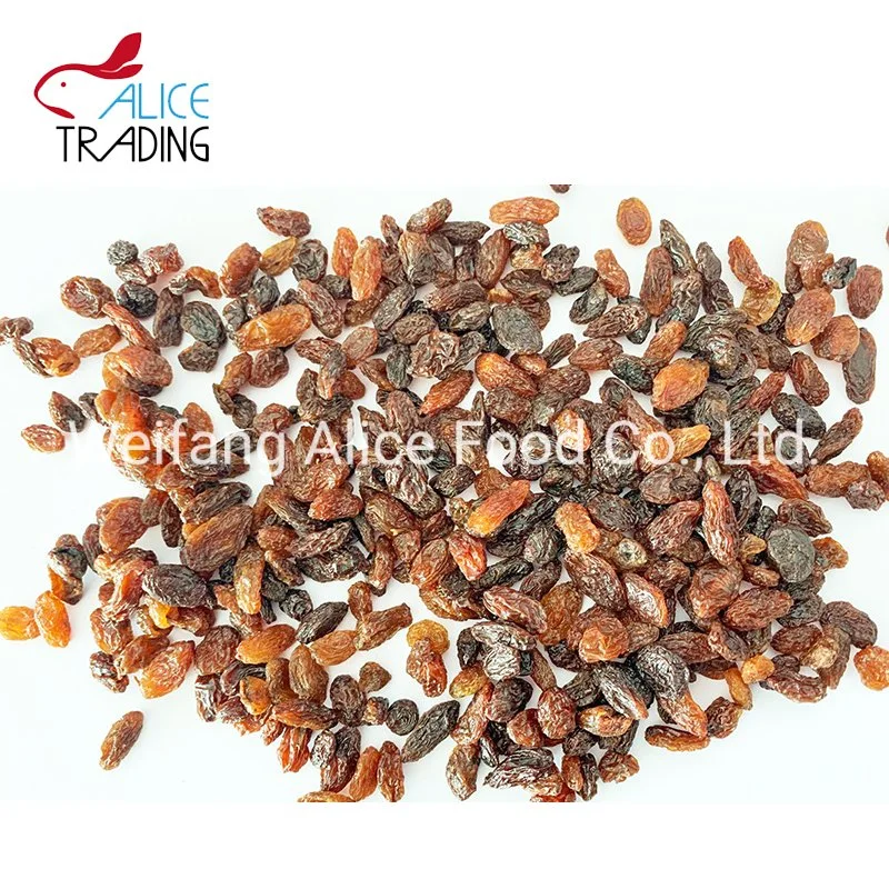 Bulk Packing China Wholesale Cheap Price Xinjiang Turpan Raisin Bulk Packing Dried Raisin