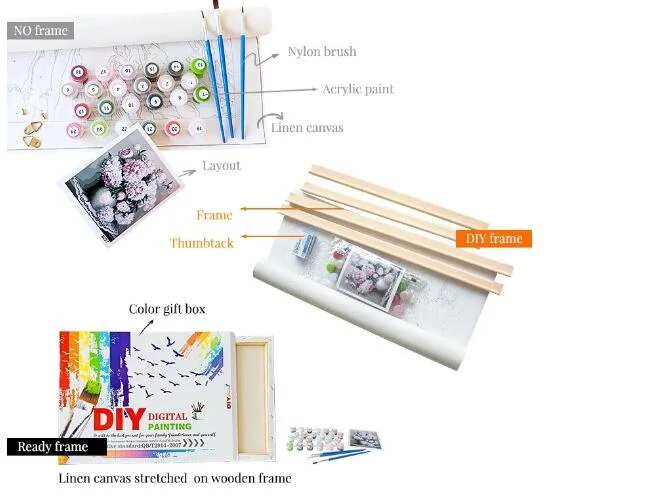 DIY Painting Paint by Numbers Kit Color Shoes Hand Draw Painting Calligraphy Coloring Numbers