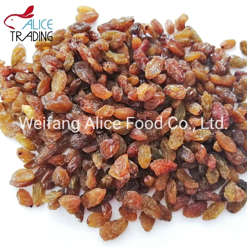 Bulk Packing China Wholesale Cheap Price Xinjiang Turpan Raisin Bulk Packing Dried Raisin