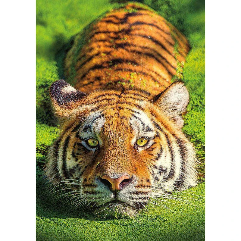 Hot Sale Tiger DIY Diamond Painting Full Drill Rhinestone Art Painting