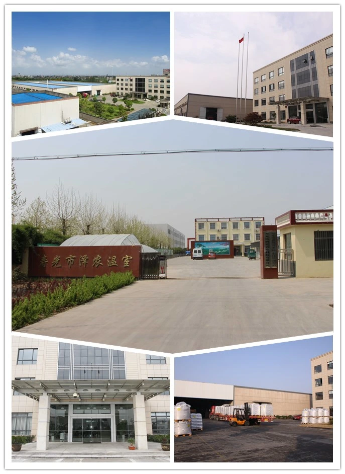 High Quality Galvanized Elliptical Pipe Solar Greenhouse for Seed Breeding/Flowers/Vegetables/Cucumber/Tomato