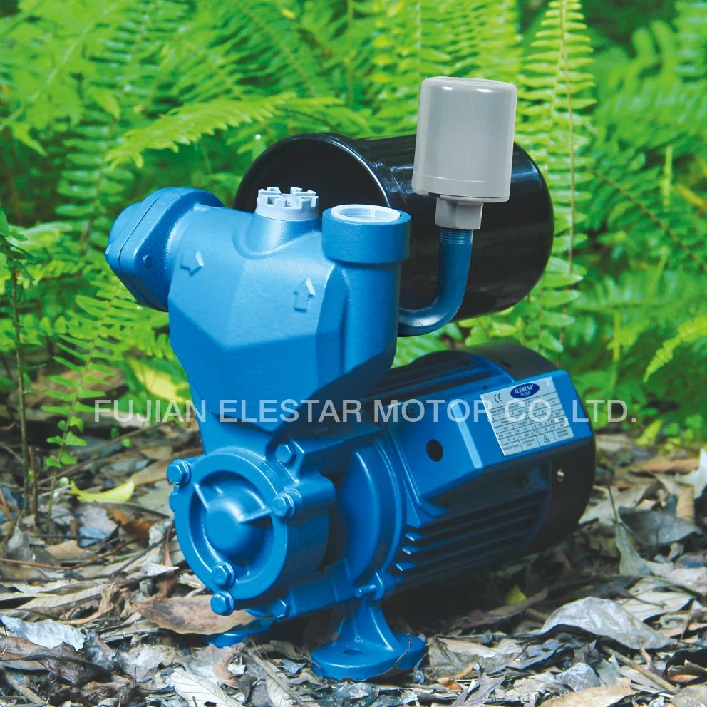 Home Use Clear Water Self-Sucking Pump-Wzb Series