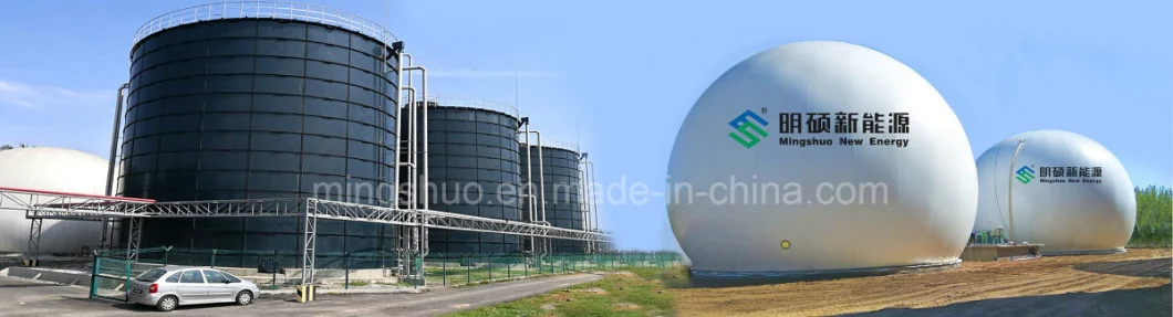 Assembled Steel Anaerobic Digestion Reactor for Organic Waste Treatment