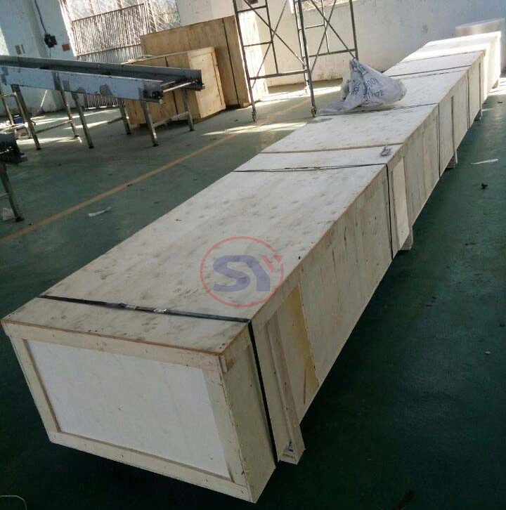 Carbon Steel Pipe Powered Telescopic Expandable Roller Conveyor Line