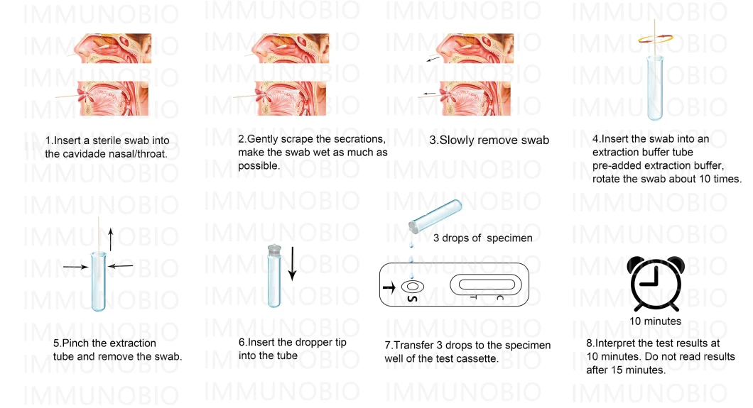 Pei/Bfarm Listed Coil Test Kit Coving Antigen Test Saliva Rapid Test Nasal Swab Test