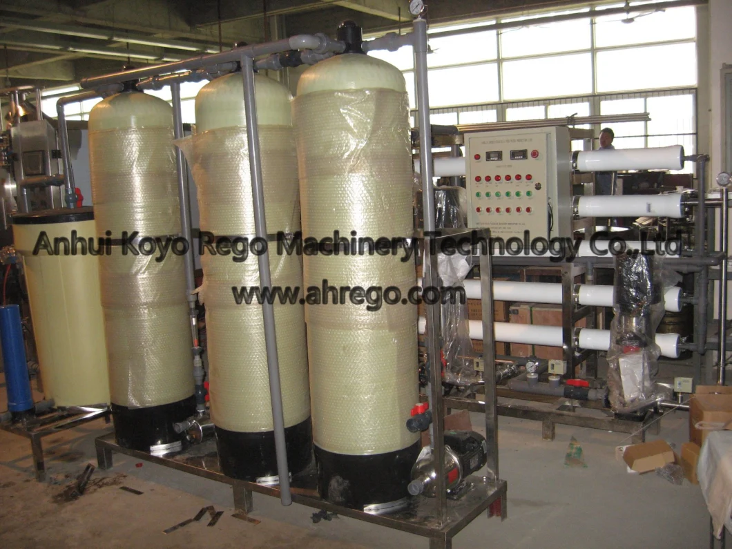 1000lph Water Reverse Osimosis System/Water Treatment Equipment/Water Treatment Plant