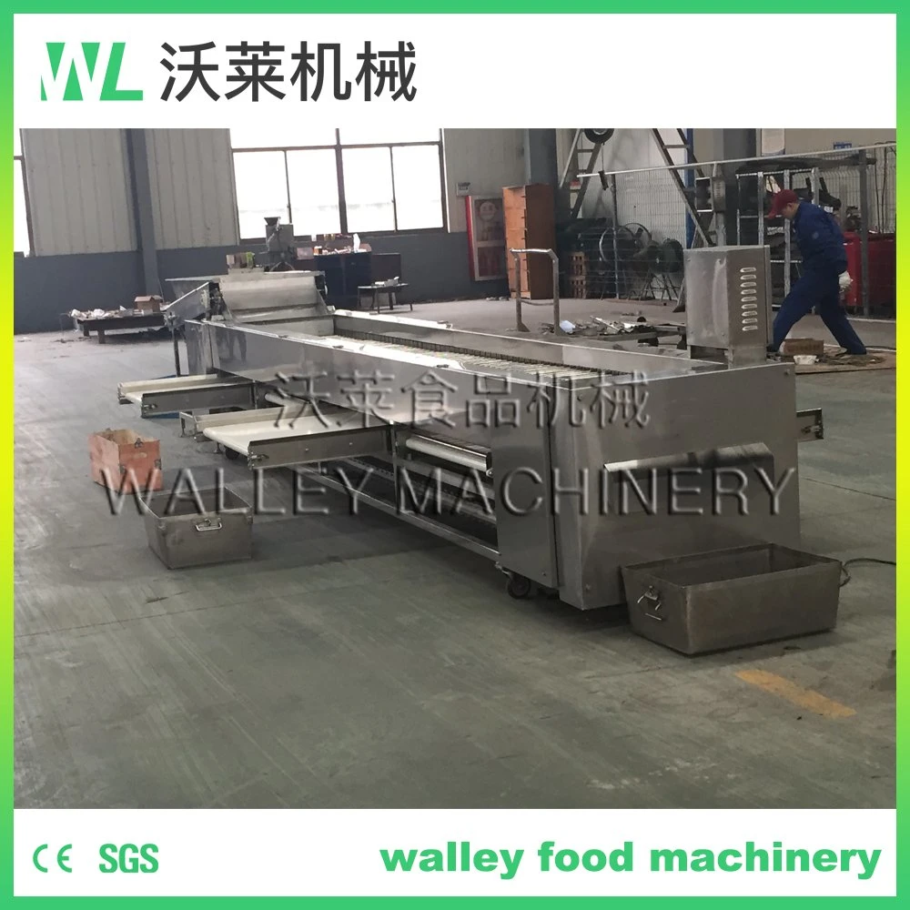 Industrial Five Levels Walnut Cucumber Sorting and Grading Machine