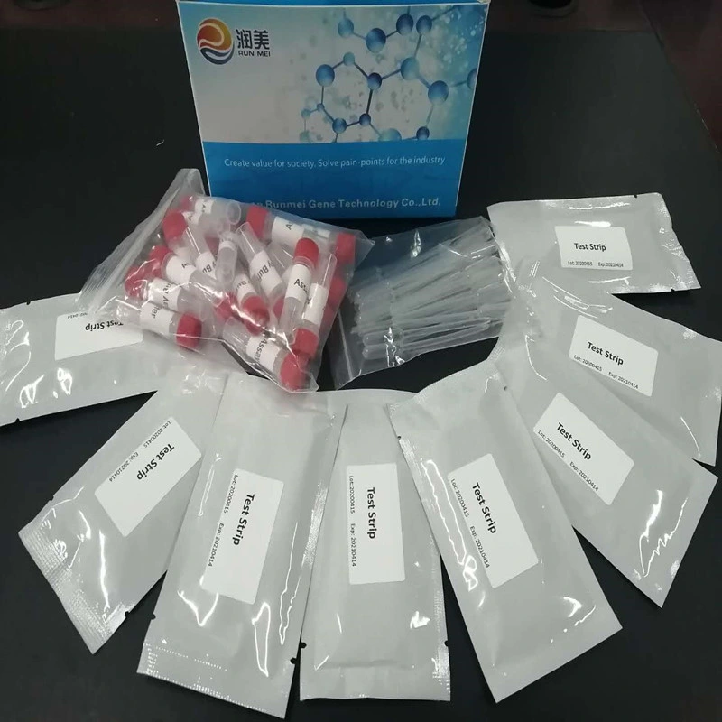 Rapid Diagnostic Test Rapid Test Kits Test Rapid Strip Test Kits Igg Igm AMP Test Kits