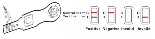 Fertility Test Pregnancy Test, HCG Pregnancy Test, HCG Test Midstream