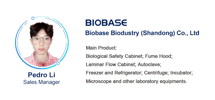 Biobase Urine Analyzer 120tests/Hour Efficient Auto Urine Analyzer Price for Hospital Use Lab Use