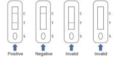 Rapid Antigen Test Kit for Saliva Nose Test Single Box Pack for Self Test