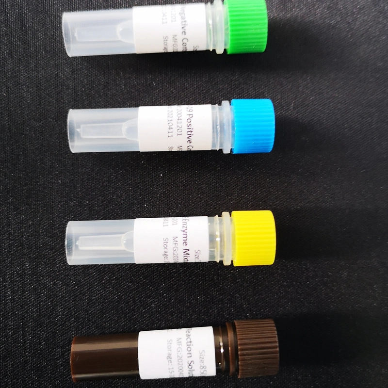 Virus Detection Kit PCR Method Rapid Test Kit for PCR Method