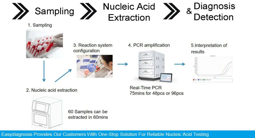 Ce/Cfda Approved Fast Delivery Test Kit Rapdi Test Kit (Fluorescent PCR) Test Kit