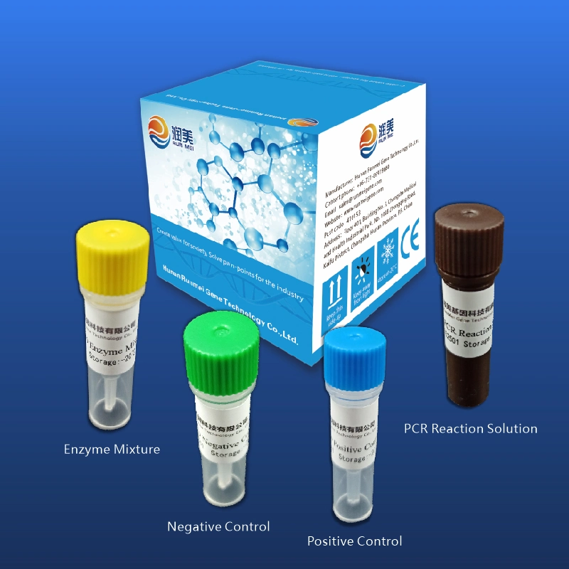 Virus Detection Kit PCR Method Rapid Test Kit for PCR Method