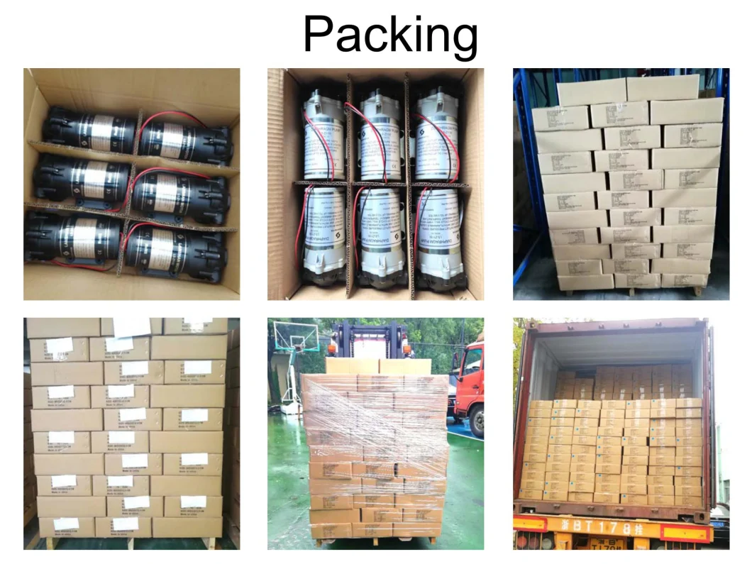 100 Gpd Lanshan 24V Best Seller High Quality RO Booster Diaphragm Pump