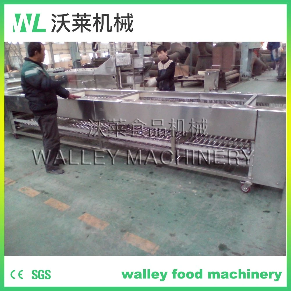 Industrial Five Levels Walnut Cucumber Sorting and Grading Machine