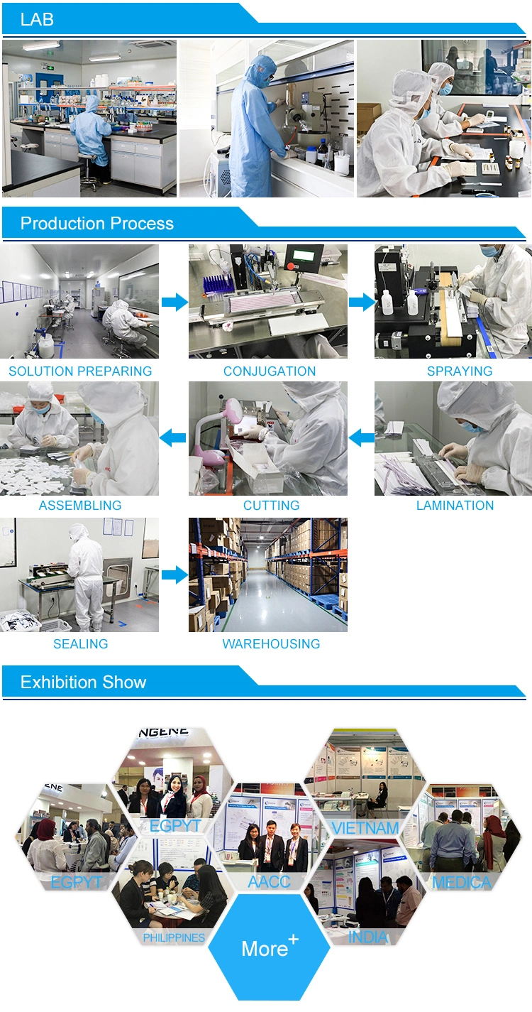 Colloidal Gold Method Factory Directly Supply Antibody One Step Rapid Test for Diagnostic Blood