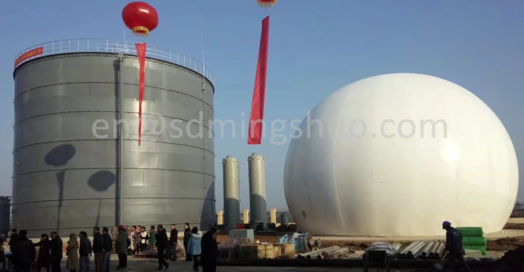 Membrane Gas Storage Tank Biogas Storage From Anaerobic Digestion