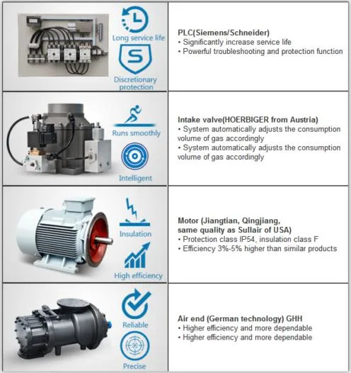 220V Screw Air Compressor with Air Dryer and Tank 11kw 16bar