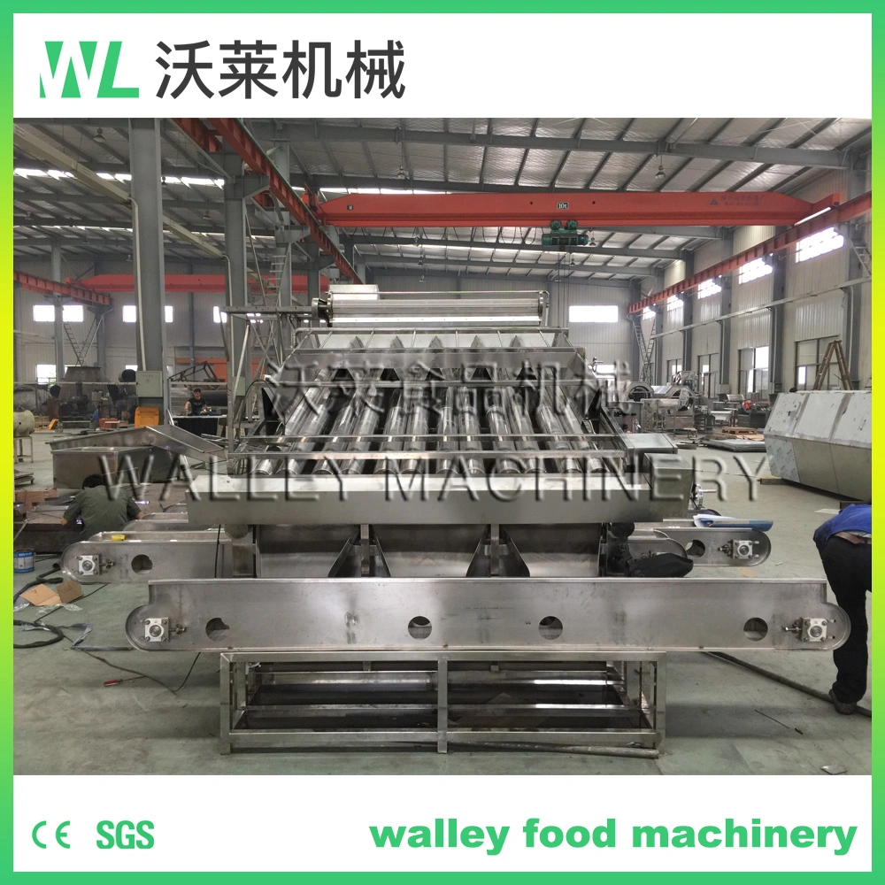 China Five Grading Levels Shrimp Sorter Grader Classifier