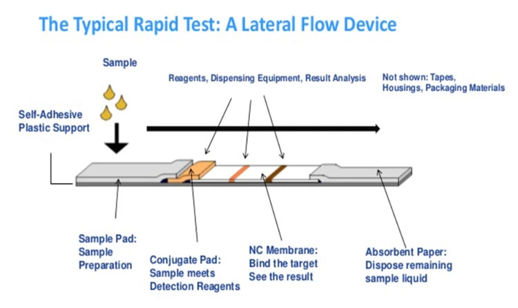 CE FDA ISO Fast Delivery of Rapid Diagnostic Test Kit One Step Fast Speed Test Kit Antibody Test Method Detect Test Igg-Igm Rapid Test Kit Colloidal Gold