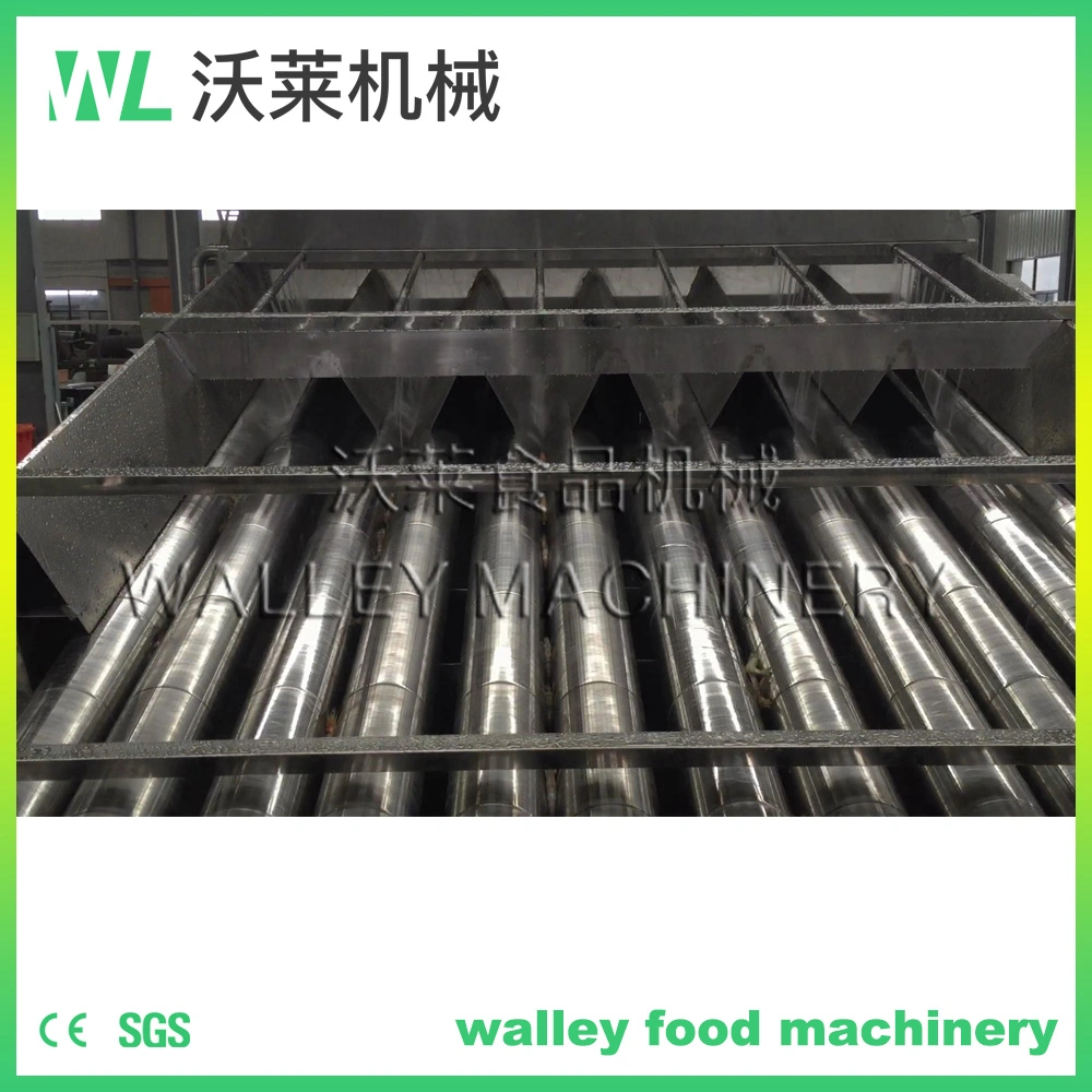 China Five Grading Levels Shrimp Sorter Grader Classifier