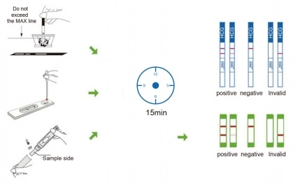 Fertility Test Pregnancy Test, HCG Pregnancy Test, HCG Test Midstream