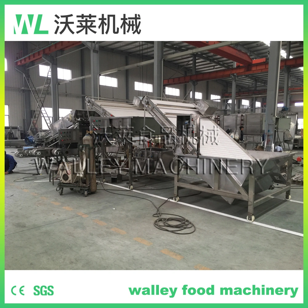 China Five Grading Levels Shrimp Sorter Grader Classifier