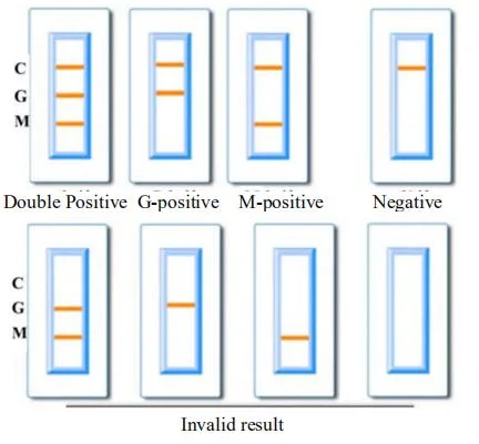 RAID, Qualitative Igg &Igm Antibodies Test Kits Blood Test Kits (collodial gold method) with CE