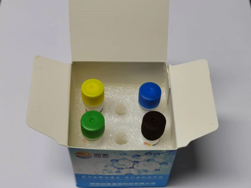 Virus Detection Kit PCR Method Rapid Test Kit for PCR Method