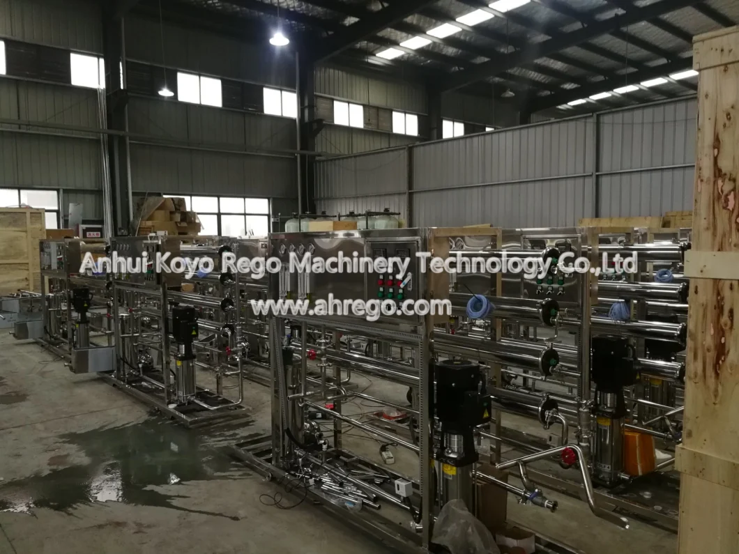 1000lph Water Reverse Osimosis System/Water Treatment Equipment/Water Treatment Plant