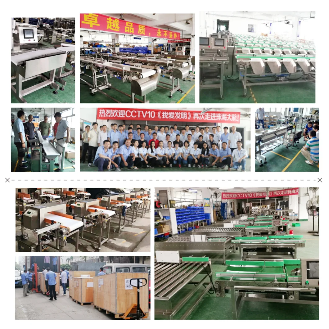 6-12 Levels High Accuracy Popular Weight Sorter Equipment for Chicken