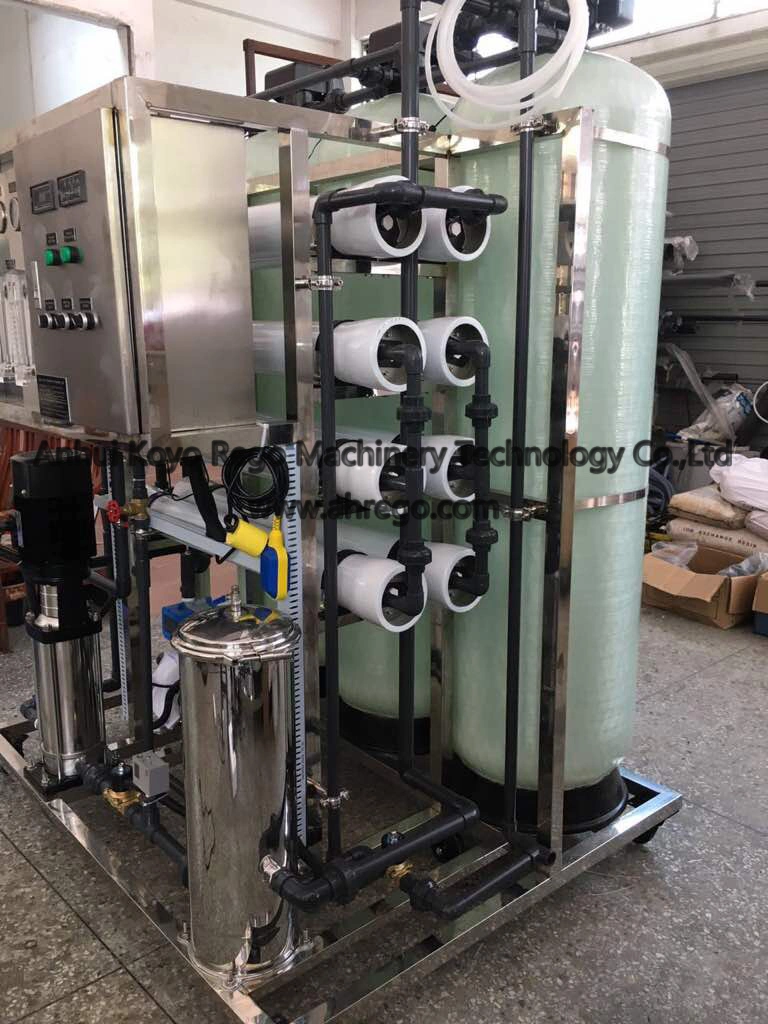 1000lph Water Reverse Osimosis System/Water Treatment Equipment/Water Treatment Plant