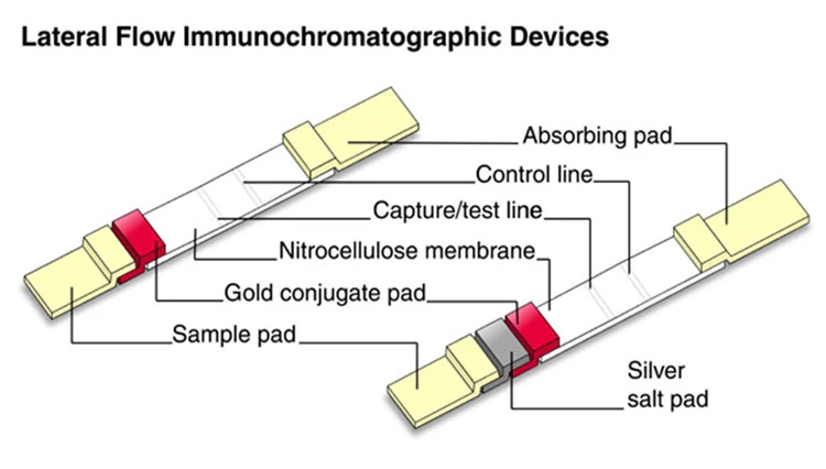 CE FDA ISO Fast Delivery of Rapid Diagnostic Test Kit One Step Fast Speed Test Kit Antibody Test Method Detect Test Igg-Igm Rapid Test Kit Colloidal Gold